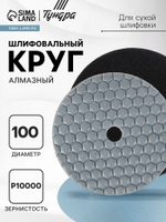 Алмазный гибкий шлифовальный круг ТУНДРА "Черепашка", для сухой шлифовки, 100 мм, № 10000