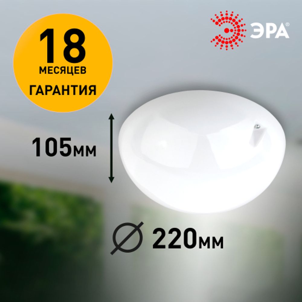 Светильник ЭРА НБП 06-60-002 Сириус поликарбонат IP54 E27 max 60Вт D220 круглый матовый | Светильники ЖКХ IP54