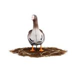 Комплект чучел Белолобый (10шт) S-XPE B622-3D "North Way"