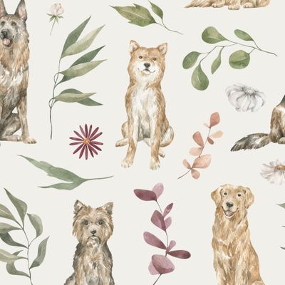 Собаки и листья