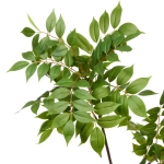 Искусственное растение «Ветка Рябины» 110см зеленая