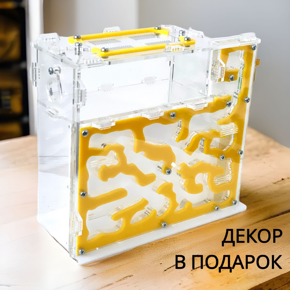 Муравьиная ферма "Сахара L" с муравьями