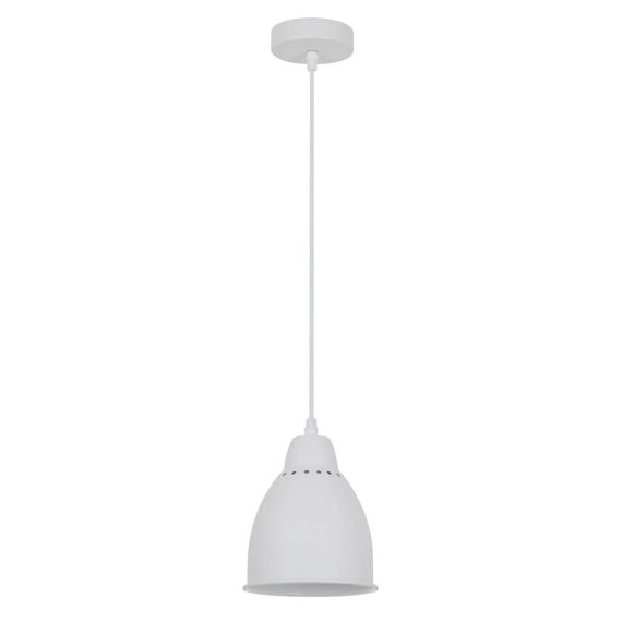 Подвесной светильник Arte Lamp Braccio A2054SP-1WH