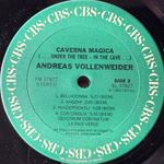 Andreas Vollenweider ‎– Caverna Magica (США 1983г.)