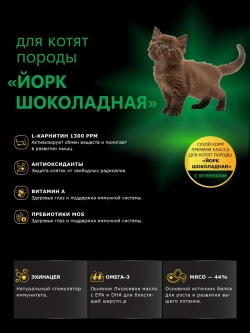 Корм для котят породы Йорк шоколадная, с ягненком, 400 гр