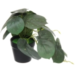Цветок искусственный в горшке «Сциндапсус» 20*16см