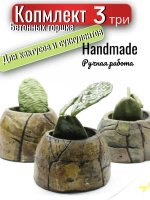 Кашпо для кактусов и суккулентов