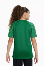 Футболка Nike Dri-FIT Academy Junior