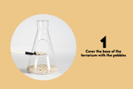 Террариум chemistry