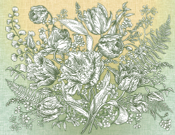 Коллекция Grafika Natura