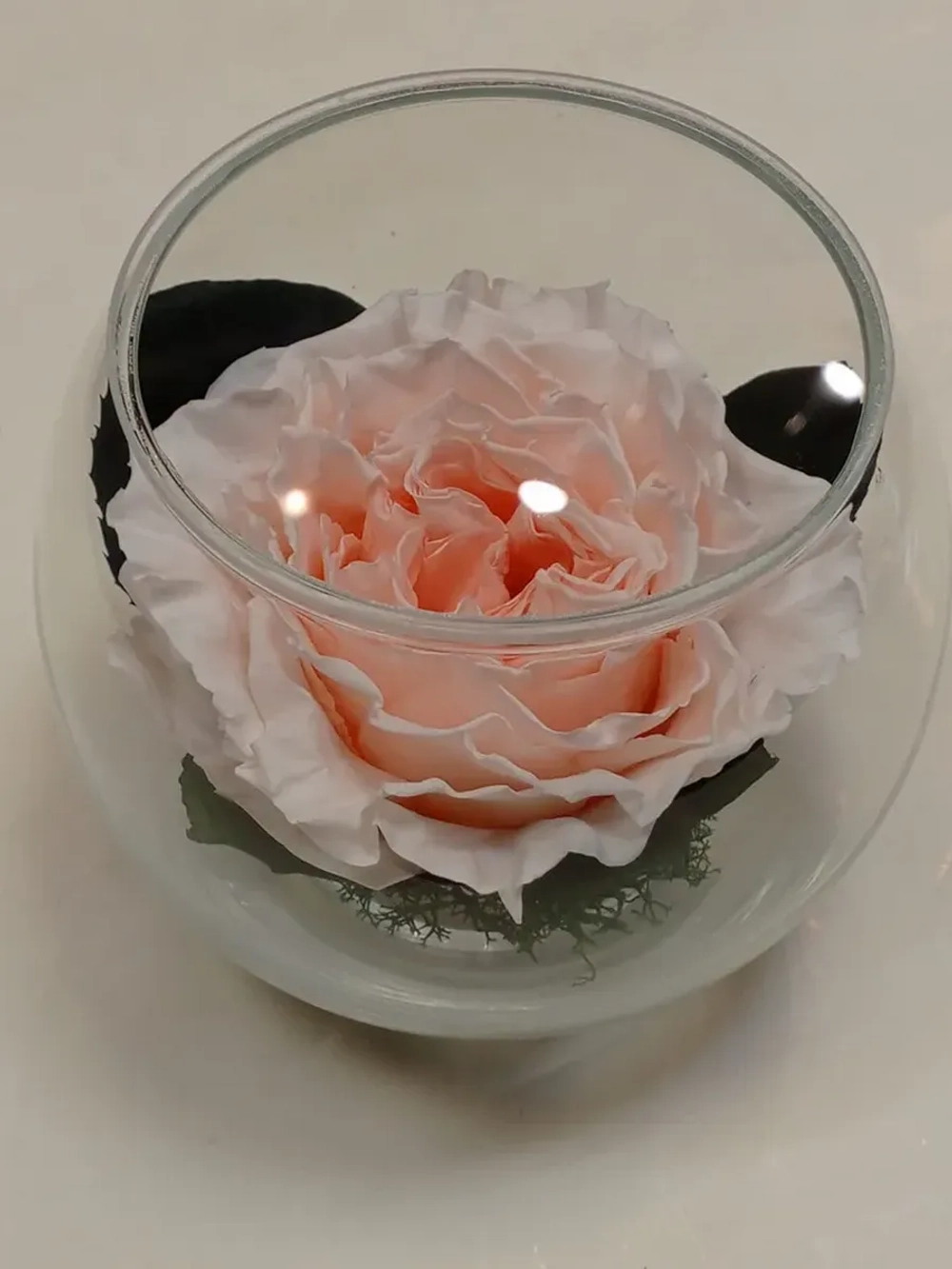 натуральный пион в стекле, вакуум*