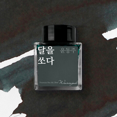 Shoot the Moon ink 30ml