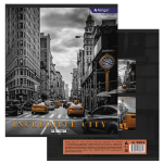 Тетрадь 36 л., А5, клетка, Alingar "Городские виды ", скрепка, офсет, мелованный картон (стандарт), 4 дизайна в пленке т/у
