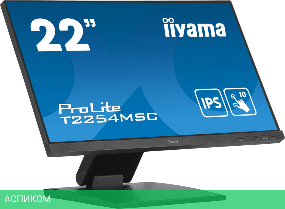 Монитор Iiyama ProLite T2254MSC-B1AG черный