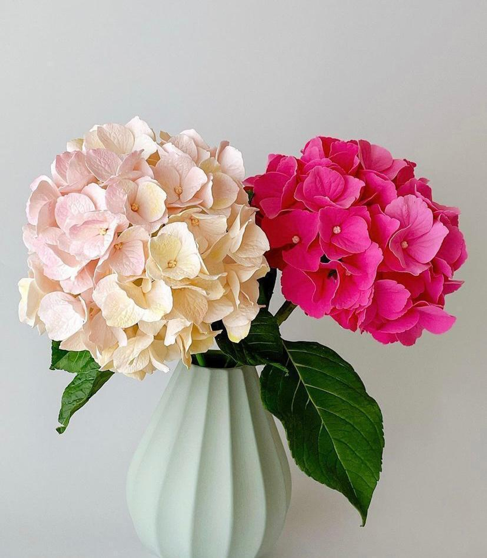 Молд - вайнер силиконовый для лепки цветов "Лепесток Гортензии"