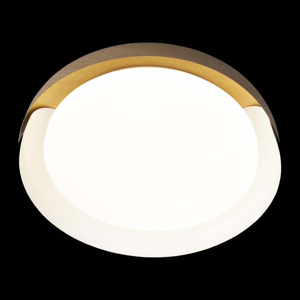 10198 White Потолочный светильник LOFT IT Coin