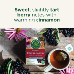 Traditional Medicinals, Organic Immune Zoom, Elderberry Echinacea, Caffeine Free, 16 Wrapped Tea Bags, 0.99 oz (28 g)