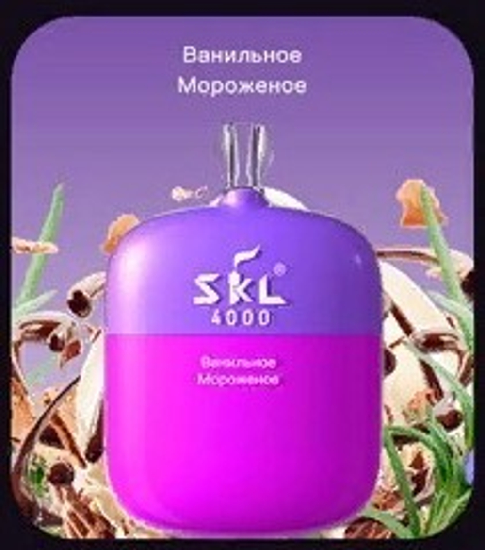SKL 4000 Ванильное мороженое купить в Москве с доставкой по России