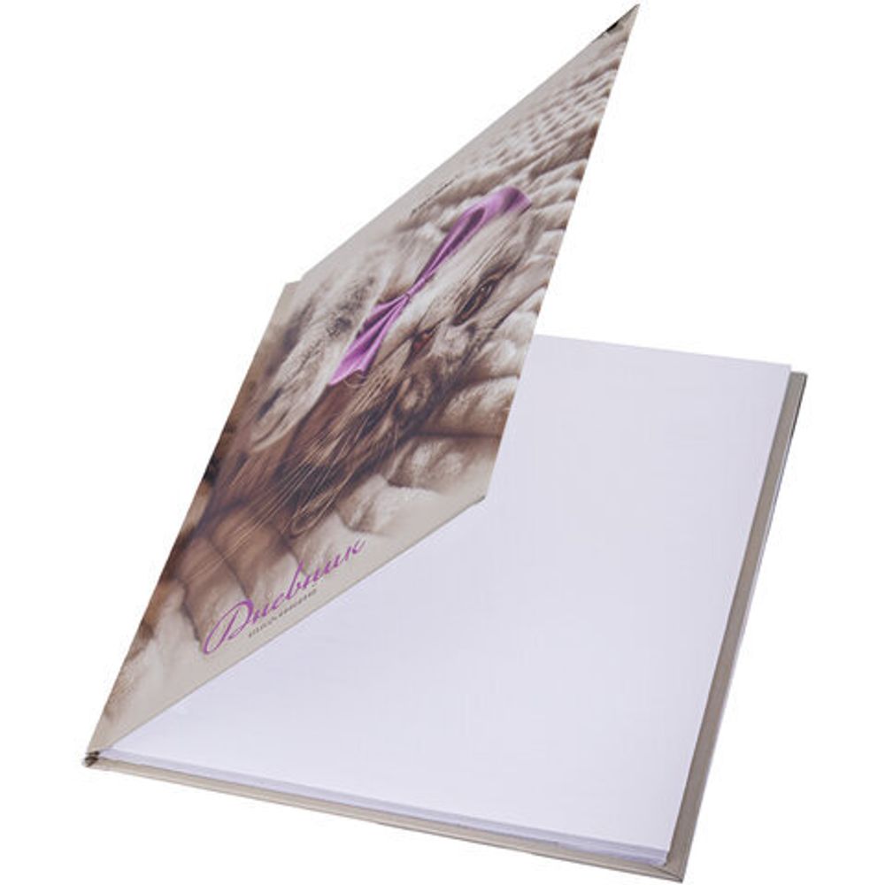 Дневник 5-11 класс 48 л., твердый, BRAUBERG, глянцевая ламинация, с подсказом, "Котик", 107188