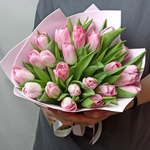 Букет розовых тюльпанов 25 шт.
