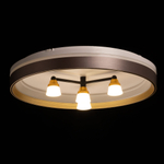 Потолочный светодиодный светильник De City Норден 660014701