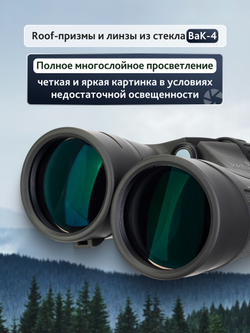 Бинокль Levenhuk Nitro 12x50