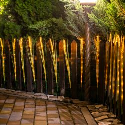 USL-S-817-PT800 CORN SET10 Садовый светильник на солнечной батарее Колосья. в комплекте из 10 штук. 120 светодиодов. Теплый белый свет. 1xАА Ni-Mh аккумулятор в-к. IP44. TM Uniel