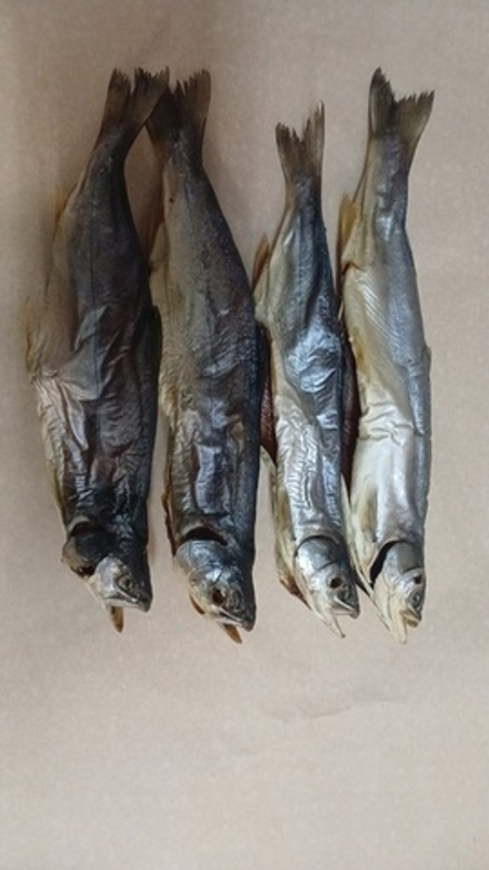 Голец вяленый