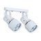 Спот Arte Lamp A6252PL-2WH
