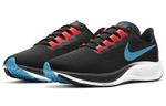 Кроссовки Nike Pegasus 37 Tpu