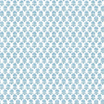 Small Prints Resource Library