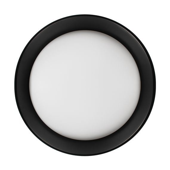 Потолочный светильник Loft it Coin 10202 BB