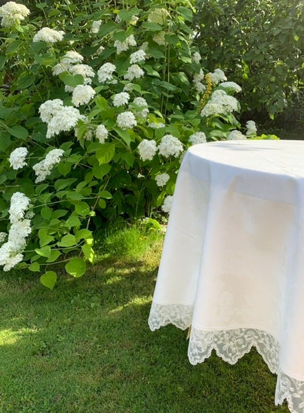 Скатерть 220 и 12 салфеток Palombella Brenda Pizzo сливочные