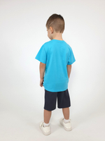 01-137-2 Комплект фуфайка+шорты для мальчика Luneva