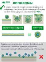 Липосомальный куркумин БЕРБЕРИН для ПОХУДЕНИЯ