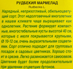Рудбекия Мармелад 0,2 г СМЦ-576