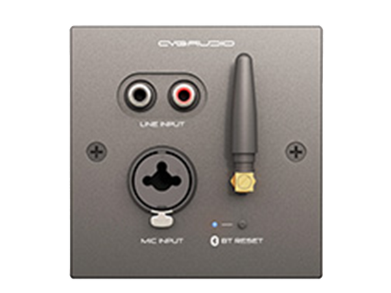 CVGAUDIO PW/EX-IN/BL универсальная настенная панель для удаленного подключения балансного микрофона MIC IN