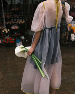 Silk organza dress