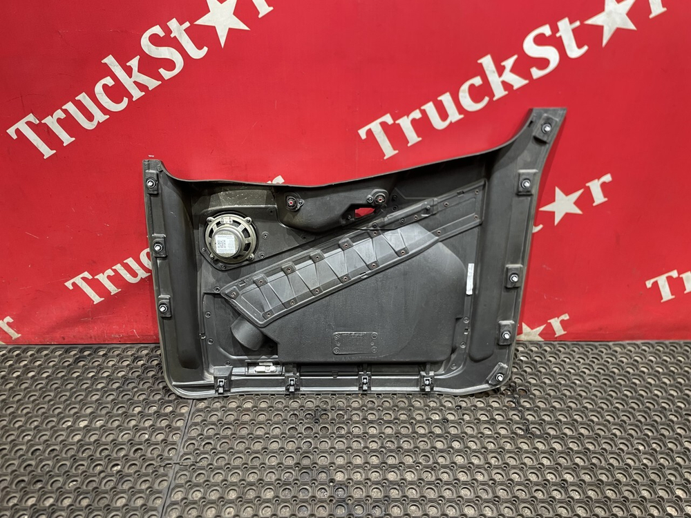 Обшивка двери левой 2023г.