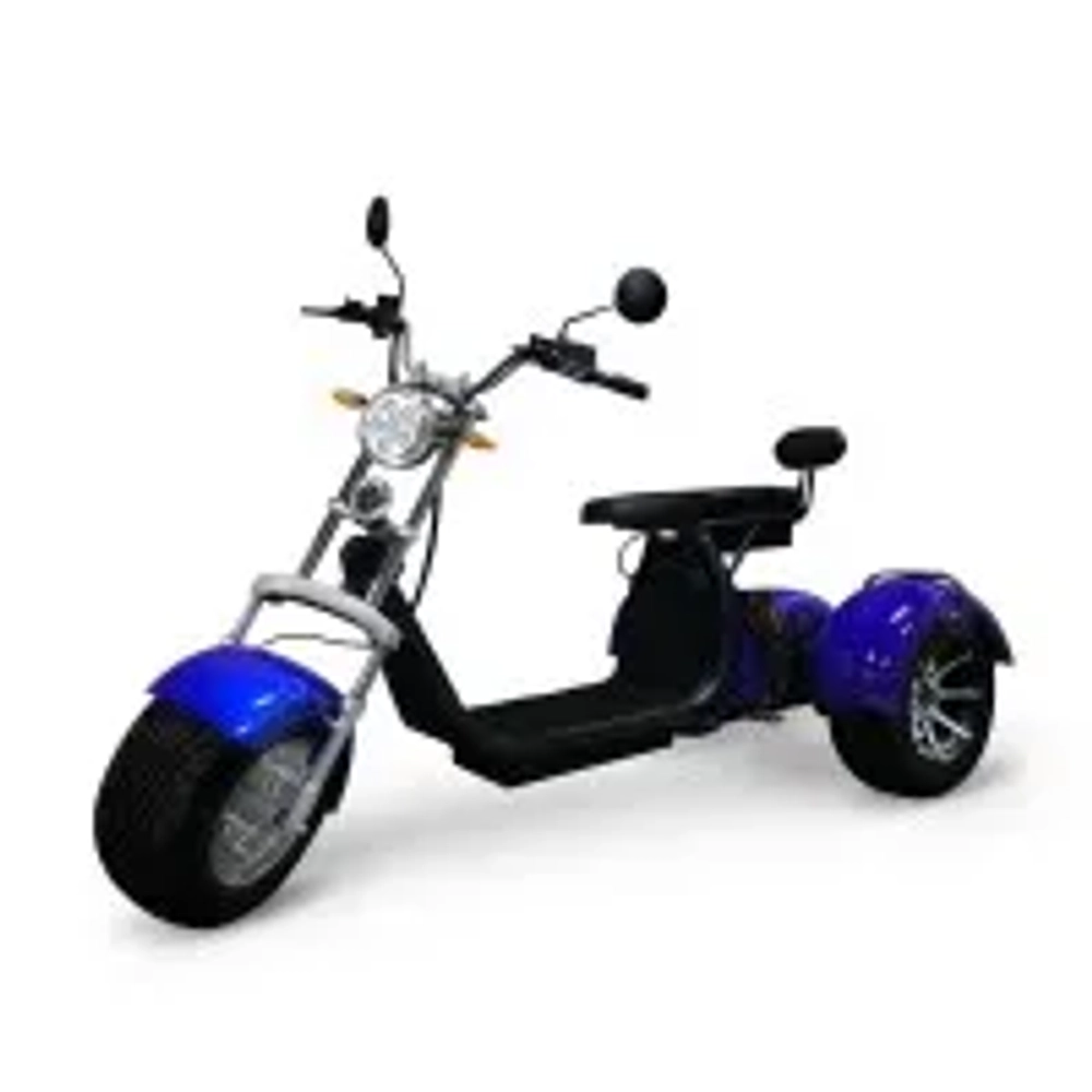 Электроскутер WS-Pro Трицикл Citycoco 2000W, 60В 20Ah Trike Черный