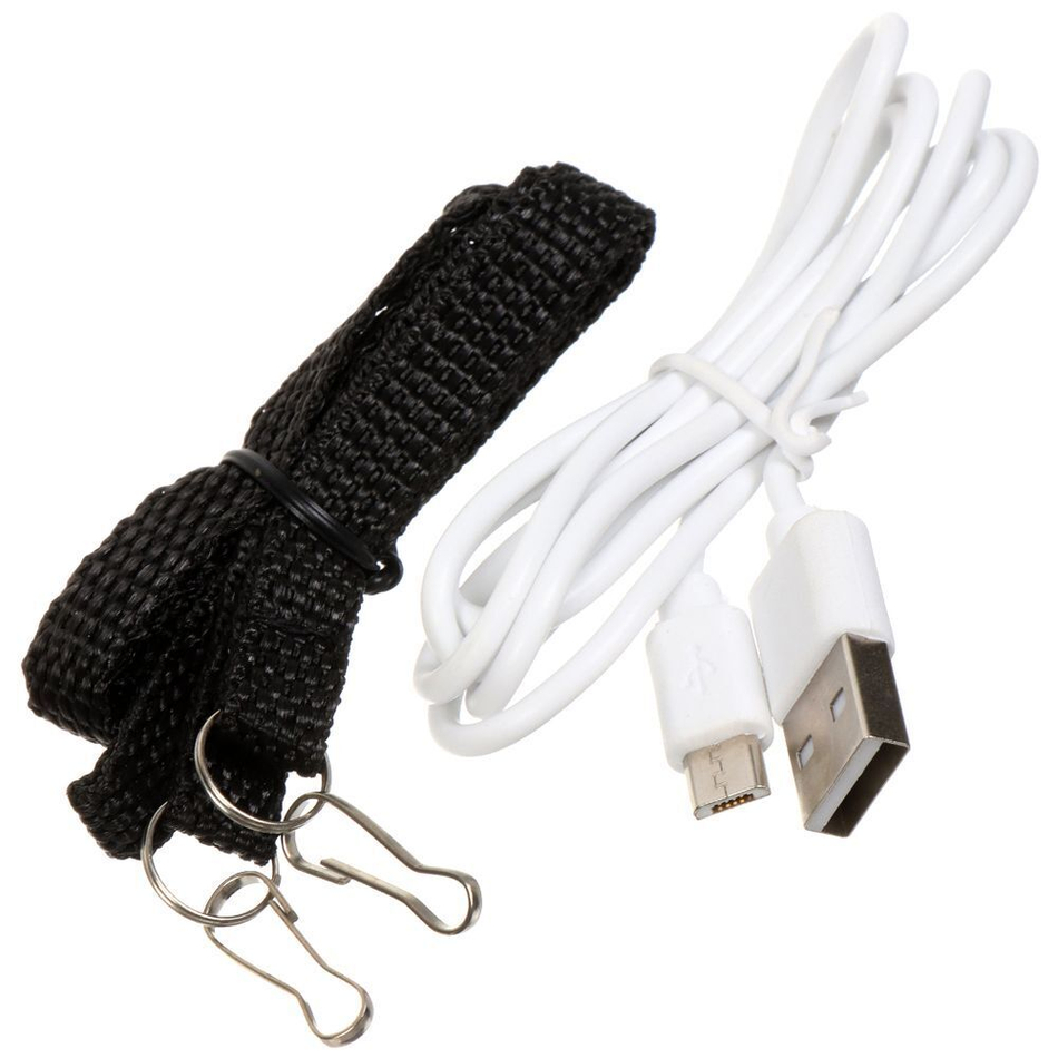 Фонарь кемп, встр акк, Облик, зар от сет220В, пластик, 5W + 24 LED ручной, 8224