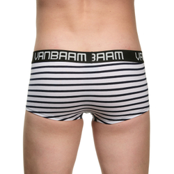 Мужские трусы хипсы белые в черную полоску Van Baam VB50058