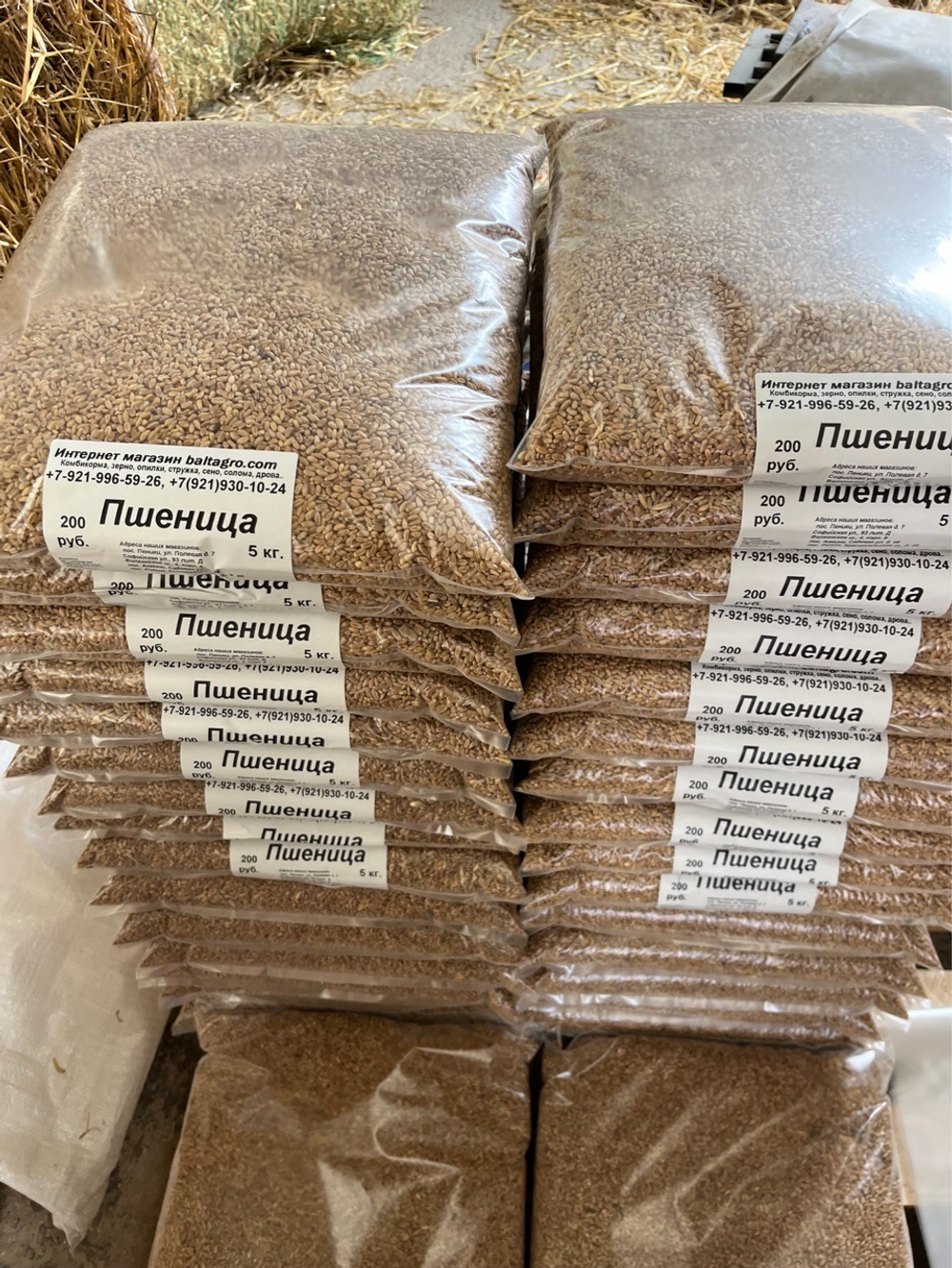 Пшеница 5 кг в Пос Ропша.