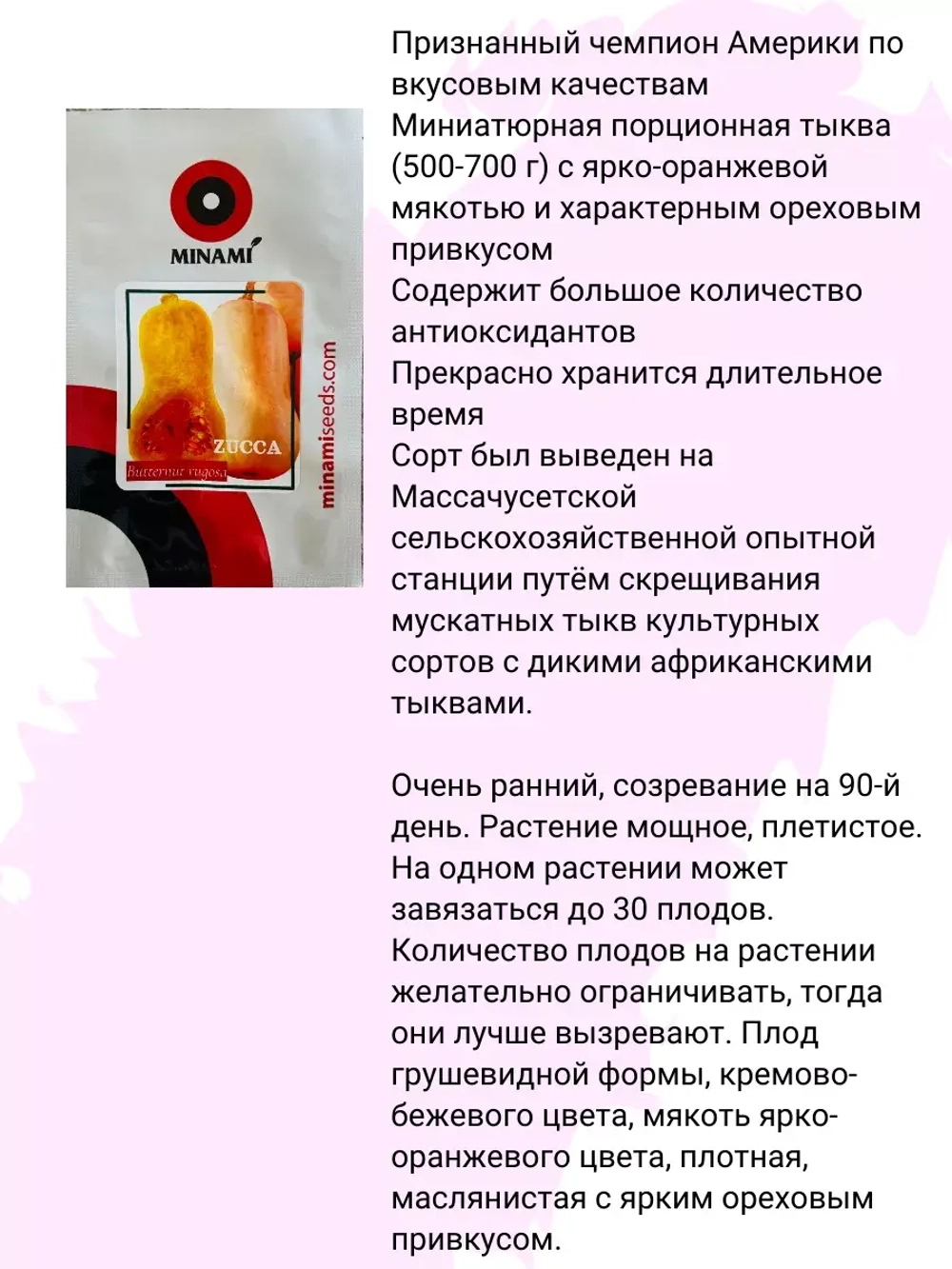 Тыква Баттернат порционная мускатная