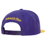 Кепка Mitchell & Ness Team 2 Tone 2.0 Snapback NBA Los Angeles Lakers
