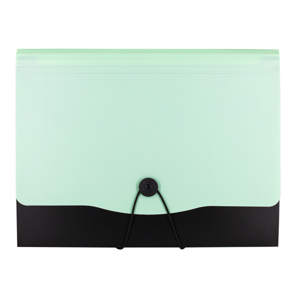 Папка-картотека Alingar, A4, 330х250 мм, на пуговице, пластик, 600 мкм, 13 отделений, папка-планшет, мятный клапан