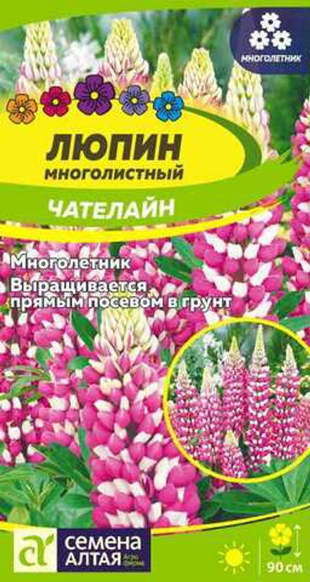 Люпин Чателайн многолетник 0,3 гр (Семена Алтая)