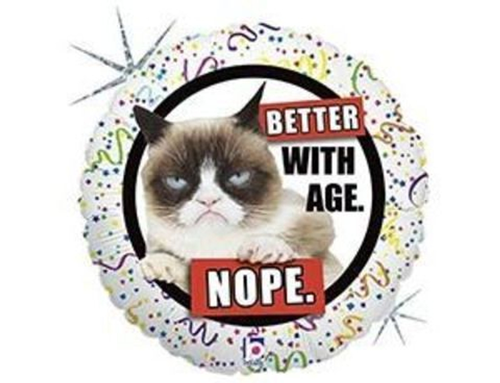 Б 18" КРУГ BETTER WITH AGE Сердитая Кошка