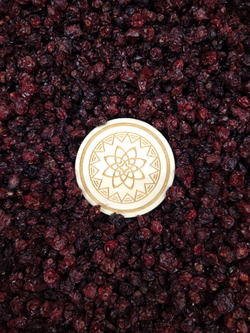 Клюква Алтайская "Таёжная"