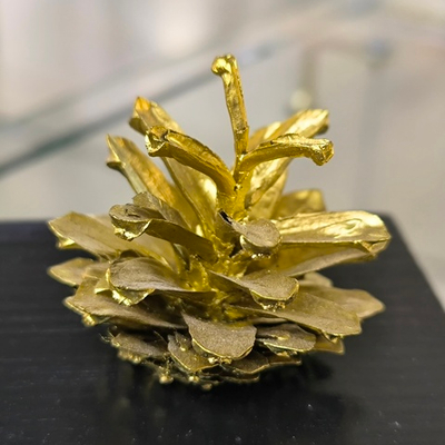 Сувенир "Важная шишка"